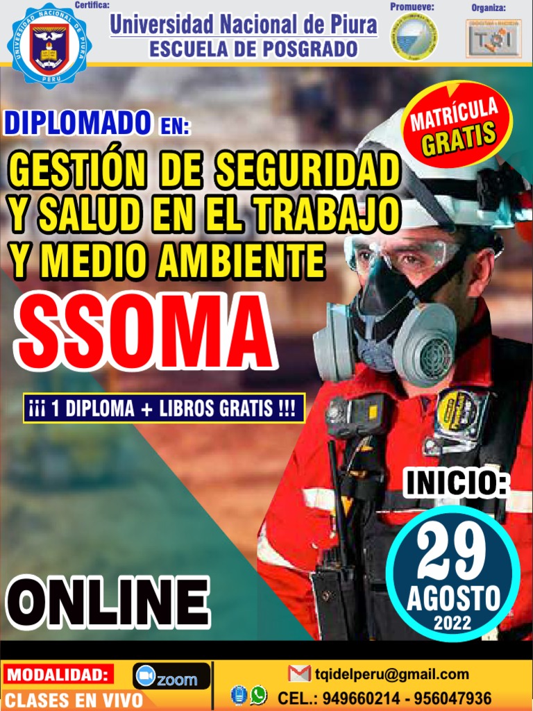 Diplomado en SSOMA y Medio Ambiente | PDF | Seguridad y salud ...