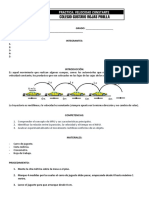 Laboratorio Velocidad 2023