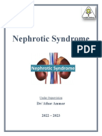 3 Nephrotic Syndrome