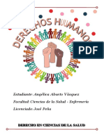 Análisis Crítico de Los Derechos Humanos - LRPD