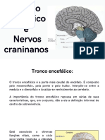 Aula 9 - Tronco Encefalico e Nervos Cranianos