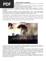 Desmatamento e Queimadas