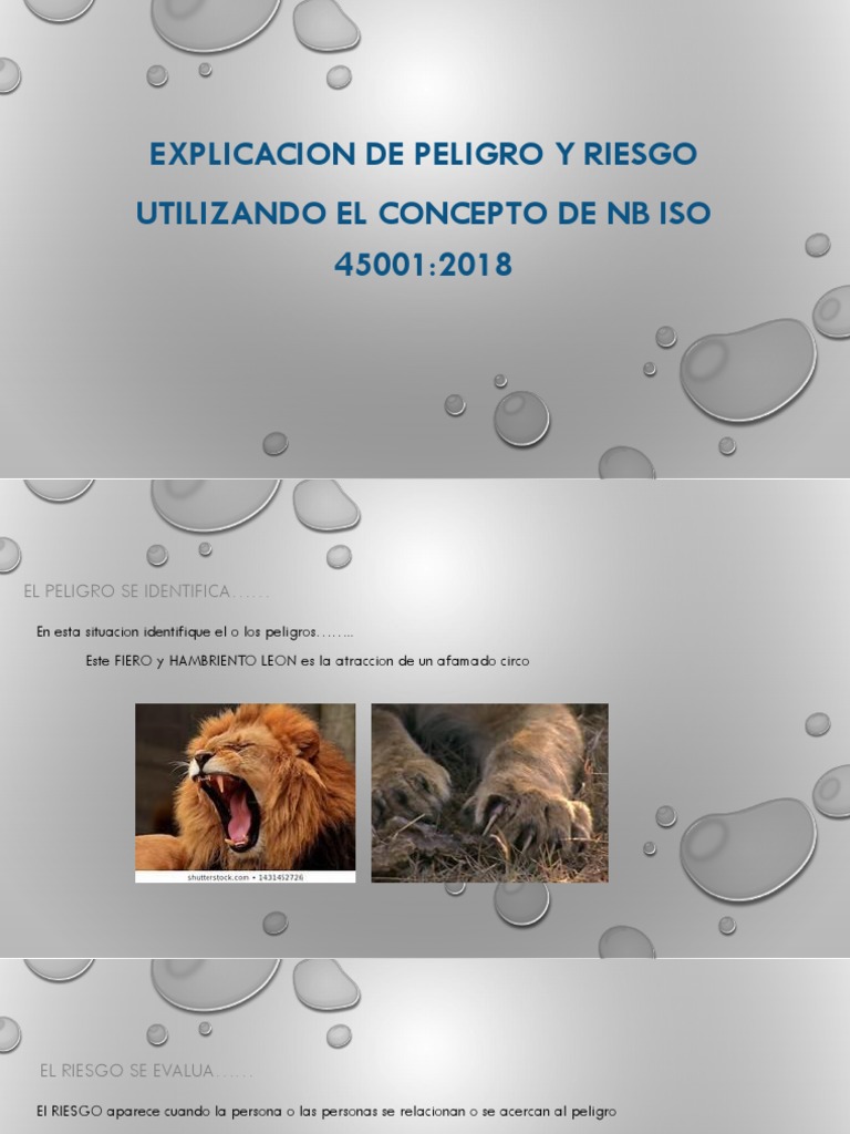 Peligro y Riesgo según ISO 45001:2018 | PDF | Entorno natural ...
