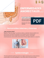 Enfermedades Anorectales