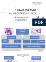 Streptococcus y Staphylococcus Entera