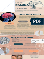 Infografía Sistema Nervioso Anatómico Azul Beige