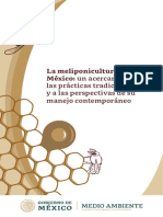 Meliponicultura en Mexico - Web