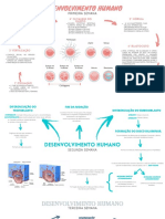 Mapas Mentais Biossistema Do Corpo Humano