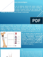 Sistema Inmunitario