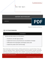 24.4 Protein Metabolism - Anatomy and Physiology090434