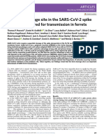 Furin Cleavage Site Required For Transmission