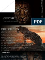 Cheetah Presentation