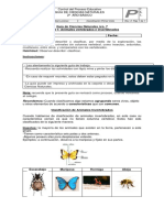 Guia N°7 Cs - Naturales 2° Básicos