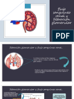 Flujo Sanguíneo Renal y Filtración Glomerular NEFROLOGIA