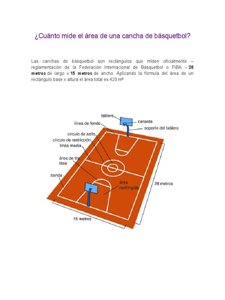 Cuánto Mide El Área de Una Cancha de Básquetbol PDF