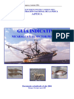 Nicaragua - Guia Indicativa 2004 y 2007