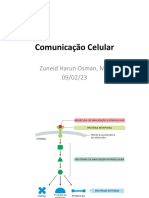 Comunicação Celular