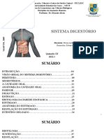 Sistema Digestório - Anatomia Humana