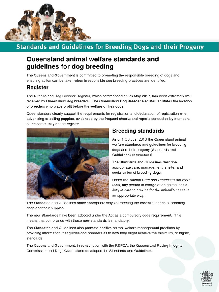 Dog Breeder Standards Guidelines Fact Sheet PDF Animal Welfare