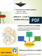 Diapositivas de Anatomia I PDF