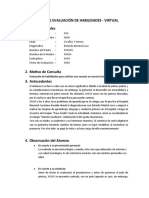 Informe de Evaluación Habilidades