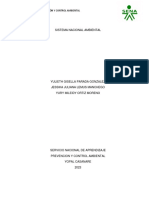 Sistema Nacional Ambiental 1