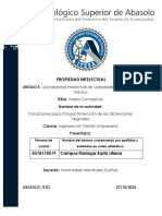 A1 Mapa Conceptual U5 Karla Campos AS18110519.