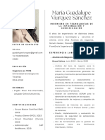 Curriculum Vitae Maria Guadalupe Viurquez Sanchez