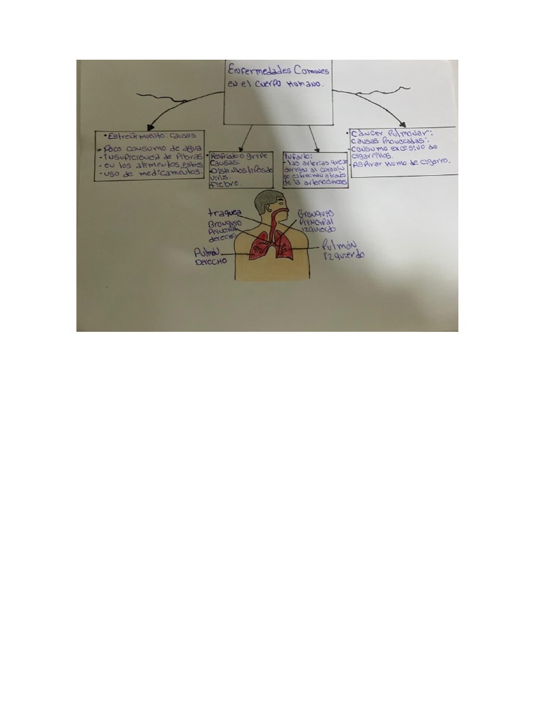 Enfermedades de El Cuerpo Humano | PDF
