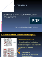 Exitacion y Conduccion Cardiaca