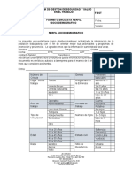FSST-030 Formato Encuesta Perfil Sociodemografico