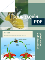 POLINIZACIÓN