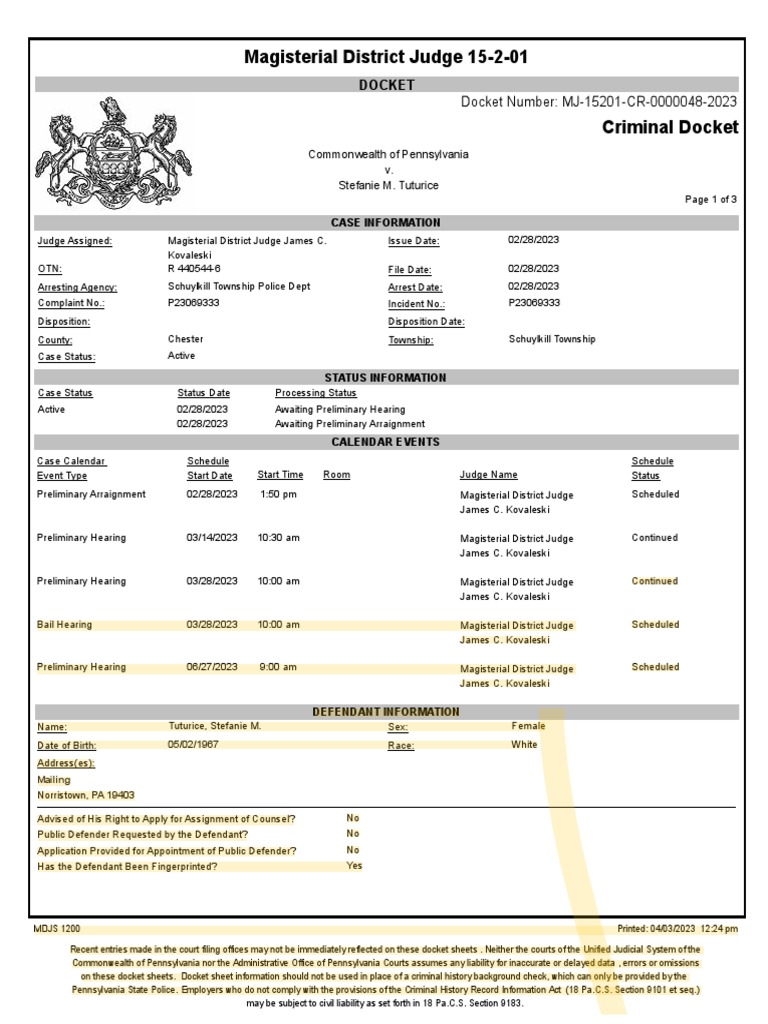 MDJ Docket Sheet | PDF | Bail | Magistrate