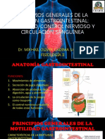 PRINCIPIOS GENERALES DE LA FUNCIÓN GASTROINTESTINAL Dr. Cadima