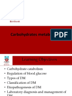 Lecture 6 Carbohydrate Metabolism