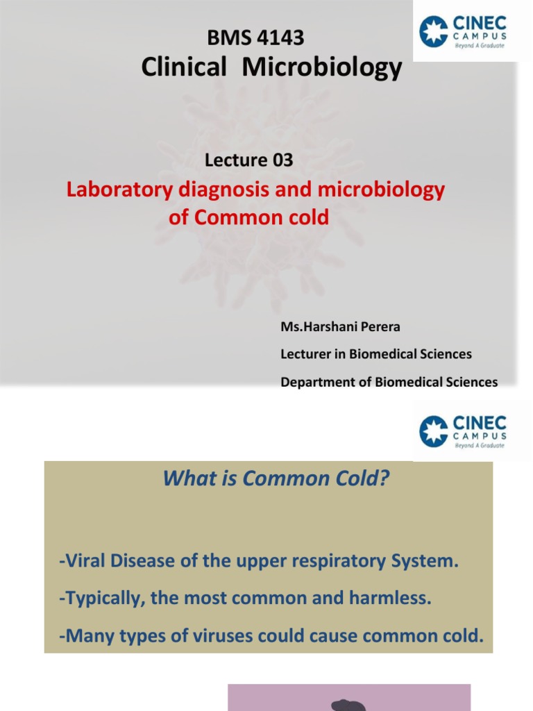 Common Cold PDF Common Cold Infection