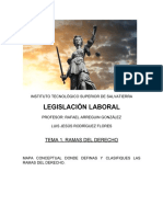 Legislación Laboral: Tema 1. Ramas Del Derecho