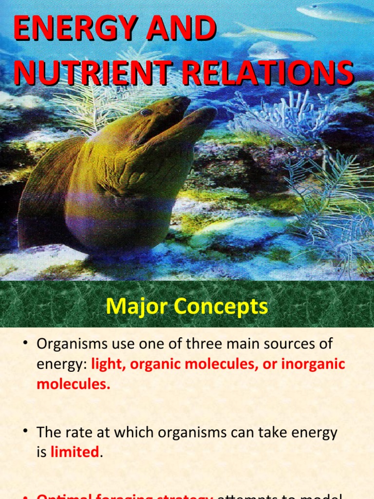 Energy and Nutrient Relations 2023 PDF Photosynthesis Herbivore