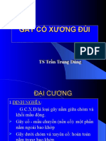 Gãy C Xương Đùi