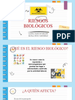 Riesgos Biologicos 2408608