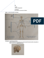 Biologija - 7 Razred - Zašto Se Krećemo