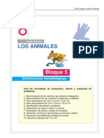 ANIMALES 5 udicom