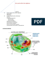 CHAP5 - Biocell Particulière Des Végétaux