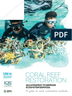 Coral Reef Restoration-A Guide To Coral Restoration Method - UN