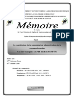 Memoire Final