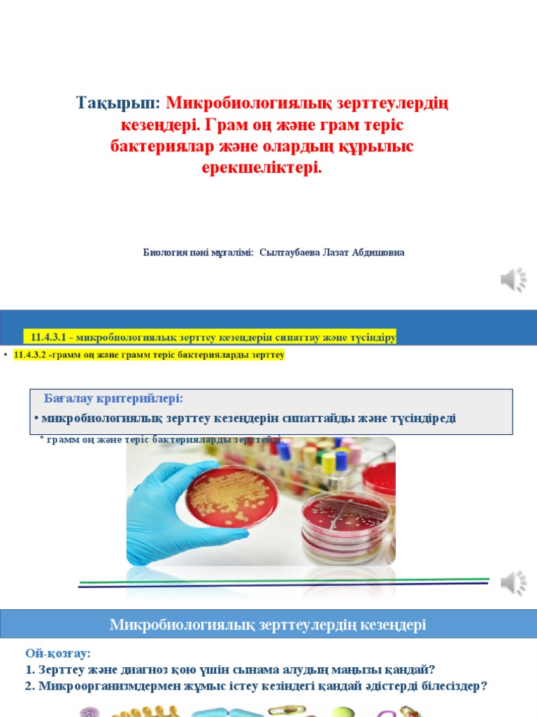 Жағажайдағы микробикинидегі әйелдердің фотосуреттері