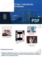 Clase N°3 - Posiciones Anatómicas LJ Términos Direccionales y Cavidades Corporales