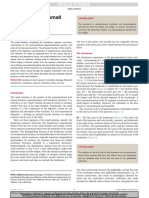 Anatomia Del Intestino Delgado