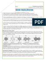 Ácidos Nucleicos