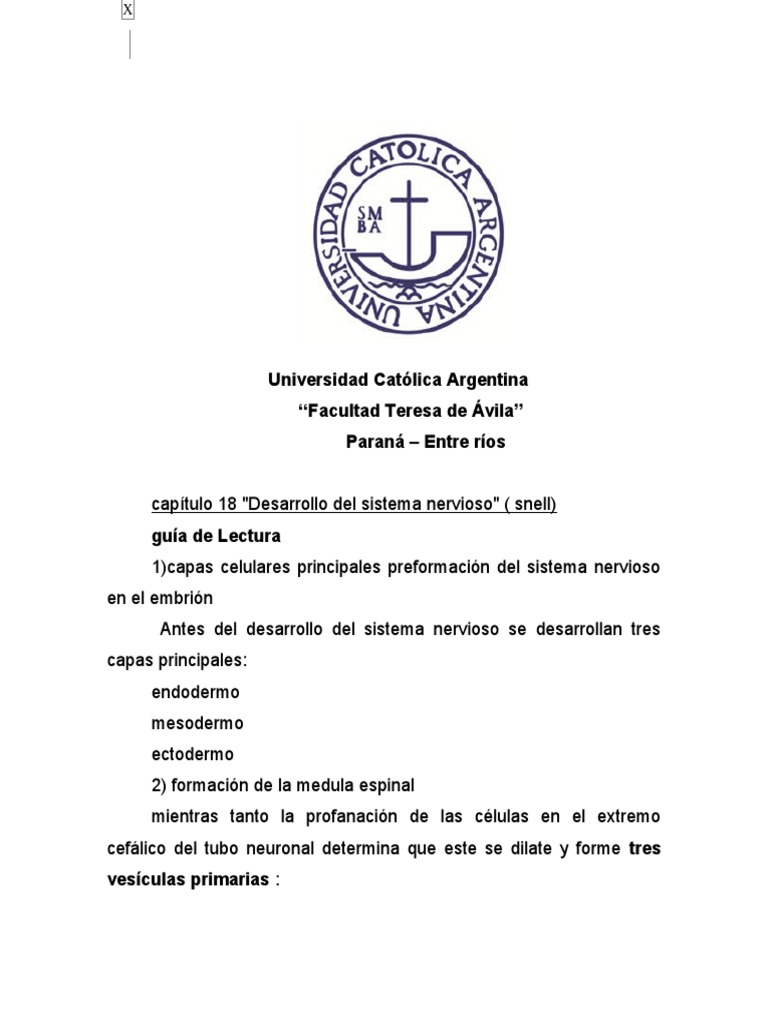 Respuestas de Capitulo 18 Desarrollo Del Sistema Nervioso (Snell) Descargar gratis PDF